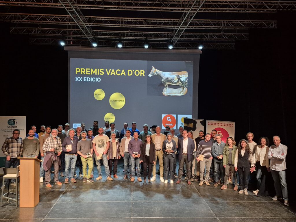 FotoTots
