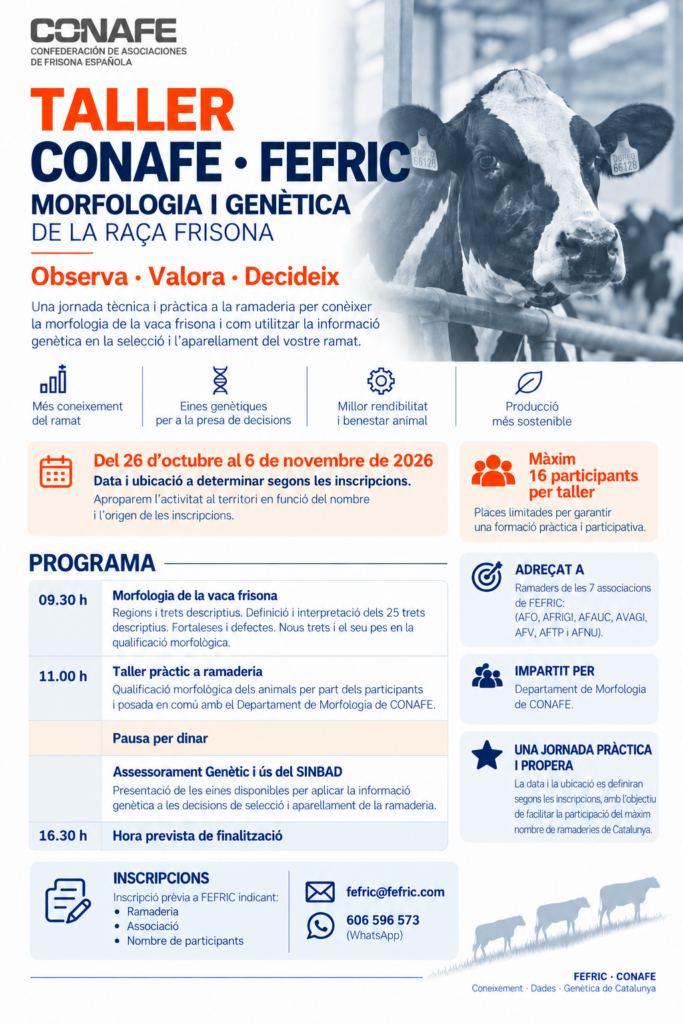 ChatGPT Image 24 de set. del 2026, 10_16_30